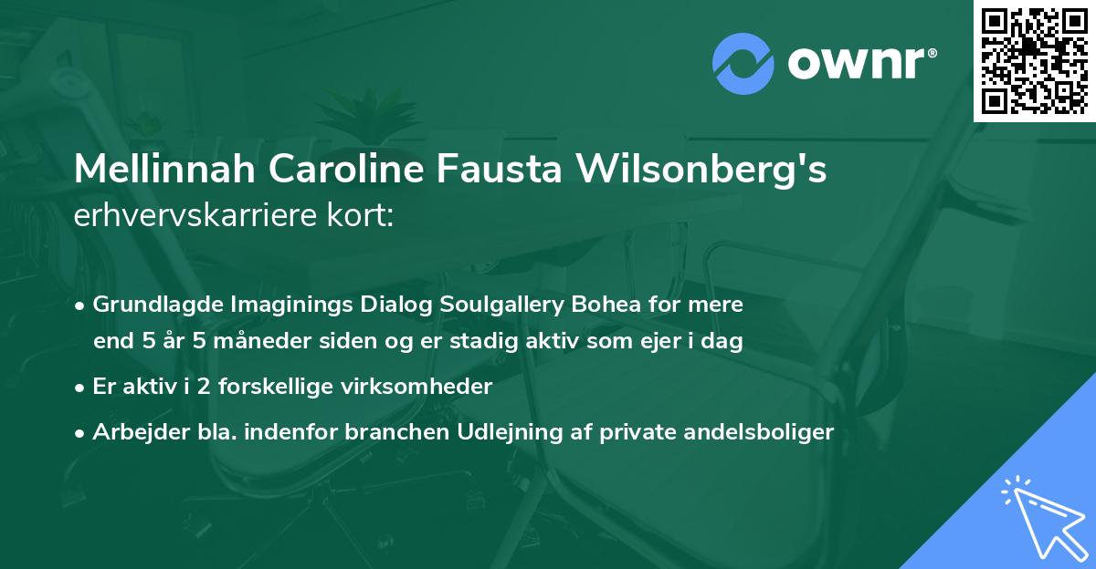 Mellinnah Caroline Fausta Wilsonberg's erhvervskarriere kort