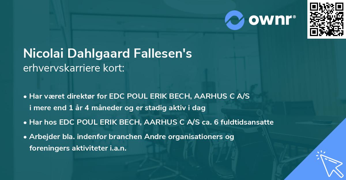 Nicolai Dahlgaard Fallesen's erhvervskarriere kort