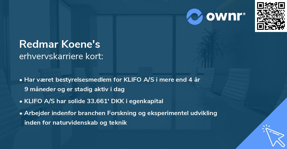 Redmar Koene's erhvervskarriere kort