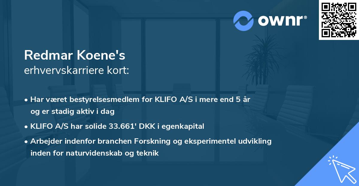Redmar Koene's erhvervskarriere kort