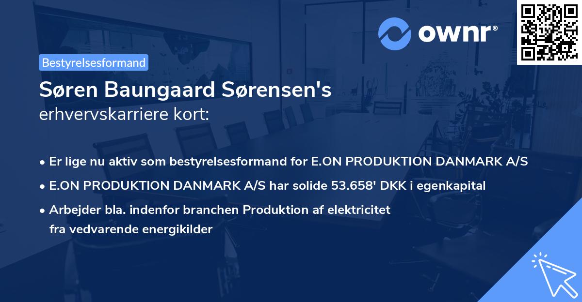 Søren Baungaard Sørensen's erhvervskarriere kort