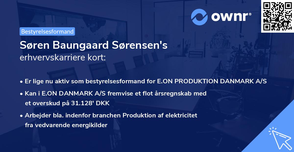 Søren Baungaard Sørensen's erhvervskarriere kort