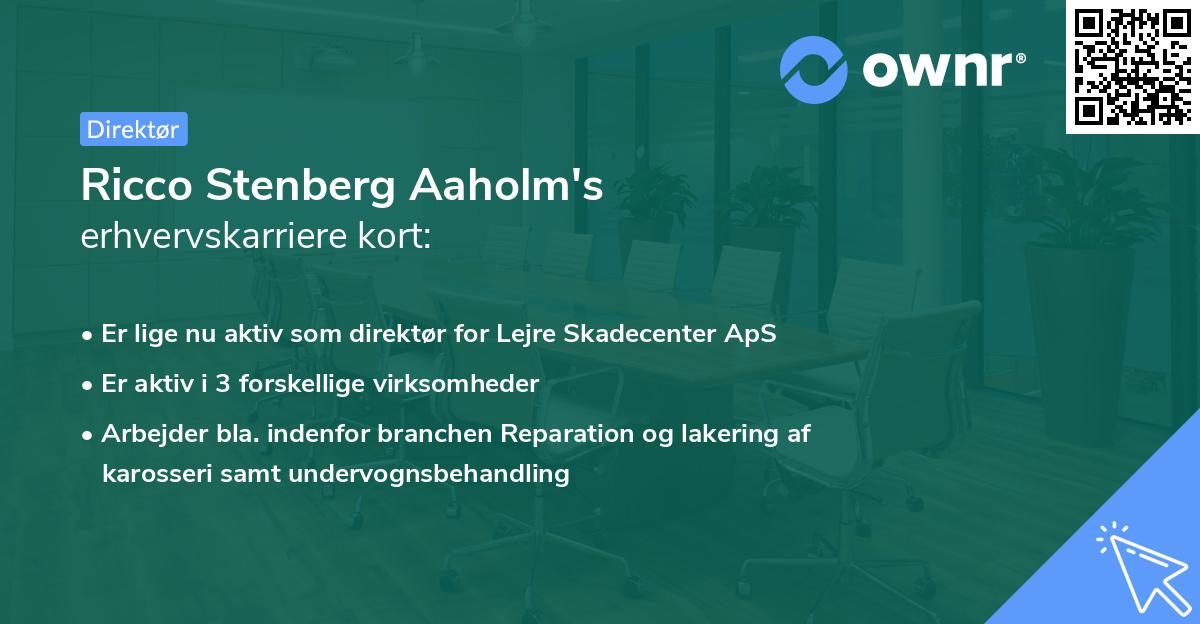 Ricco Stenberg Aaholm's erhvervskarriere kort