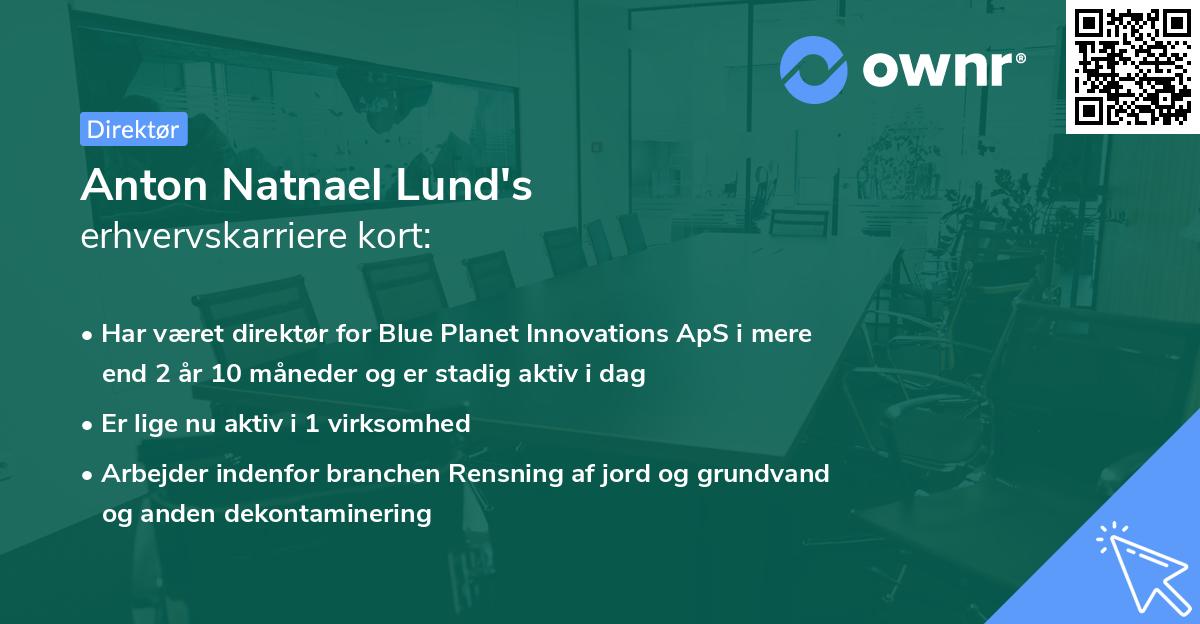 Anton Natnael Lund's erhvervskarriere kort