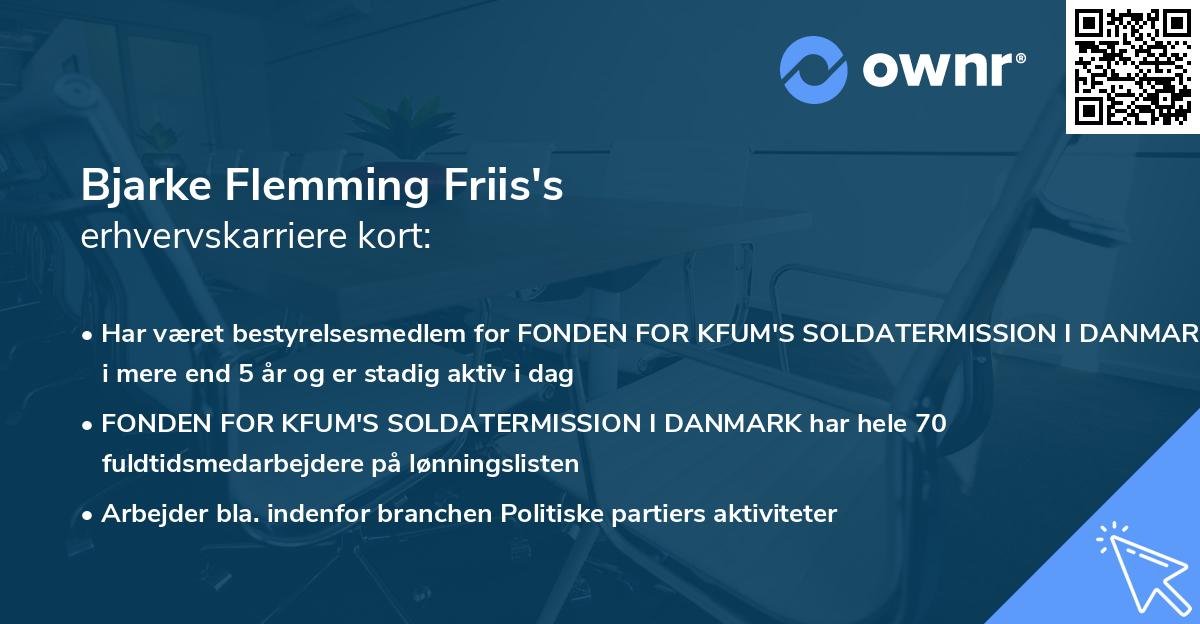 Bjarke Flemming Friis's erhvervskarriere kort