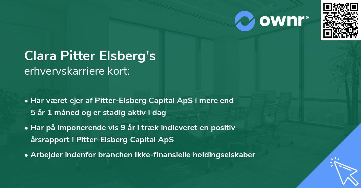 Clara Pitter Elsberg's erhvervskarriere kort