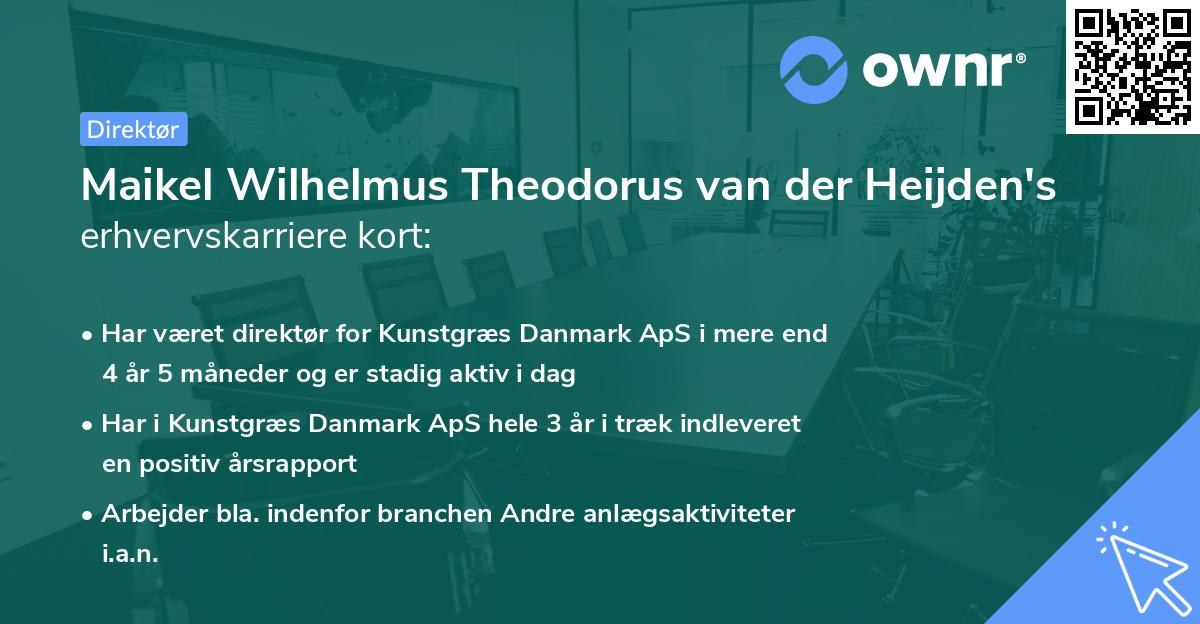 Maikel Wilhelmus Theodorus van der Heijden's erhvervskarriere kort