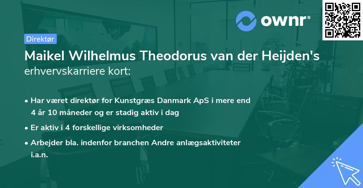 Maikel Wilhelmus Theodorus van der Heijden's erhvervskarriere kort