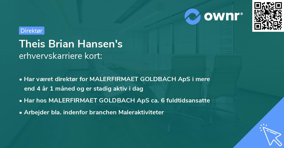 Theis Brian Hansen's erhvervskarriere kort