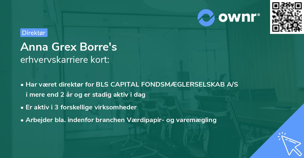 Anna Grex Borre's erhvervskarriere kort