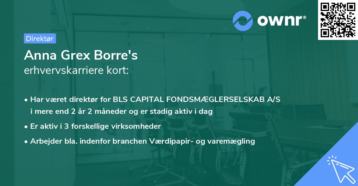 Anna Grex Borre's erhvervskarriere kort