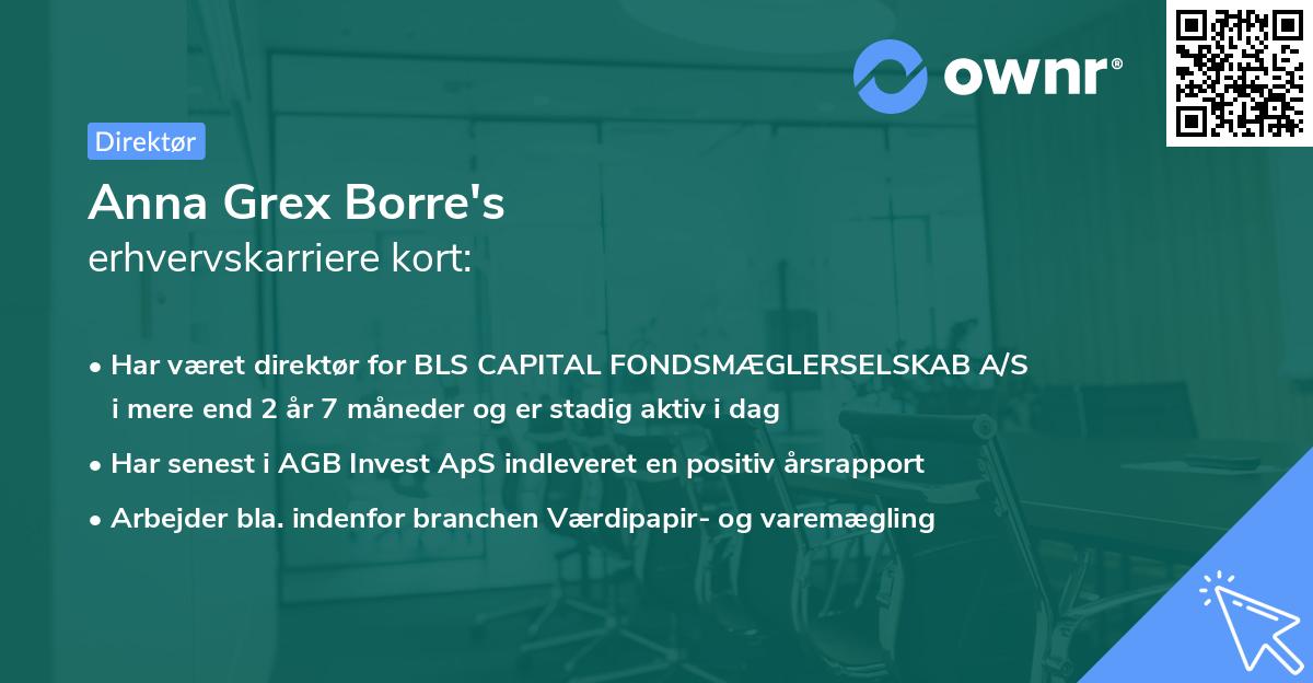 Anna Grex Borre's erhvervskarriere kort
