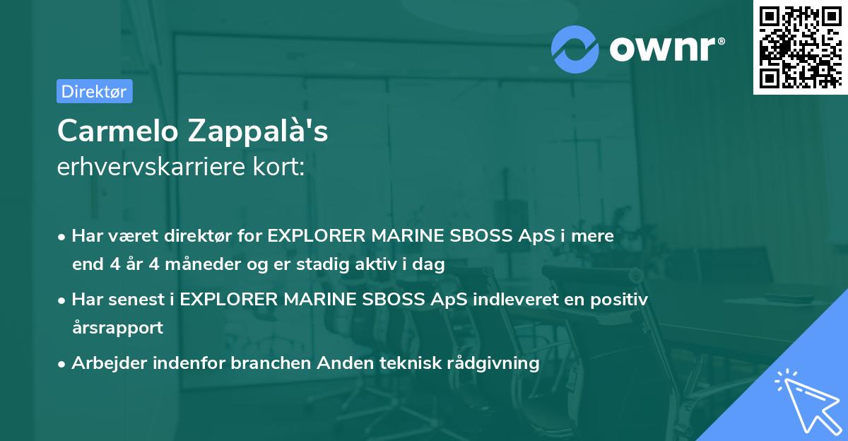 Carmelo Zappalà's erhvervskarriere kort