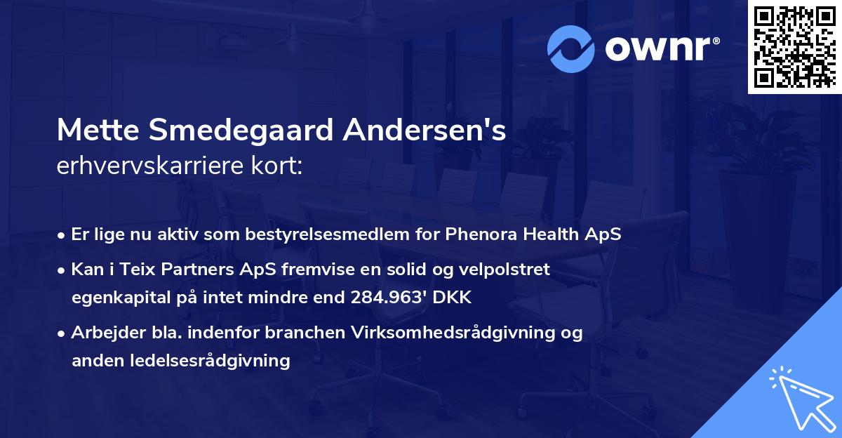 Mette Smedegaard Andersen's erhvervskarriere kort
