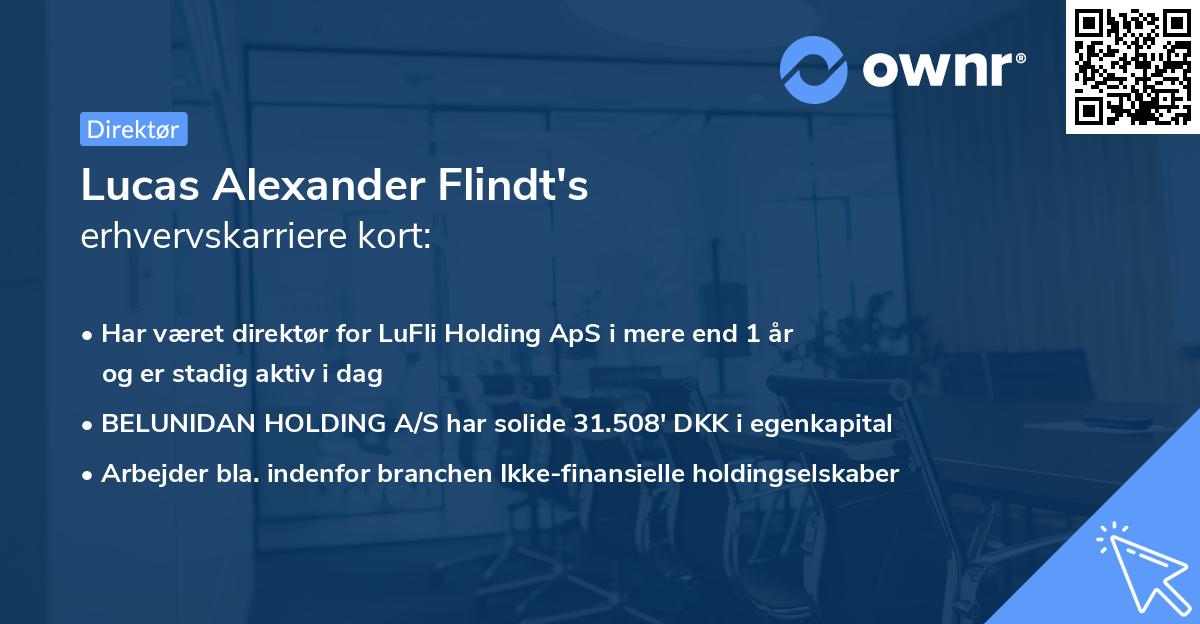 Lucas Alexander Flindt's erhvervskarriere kort