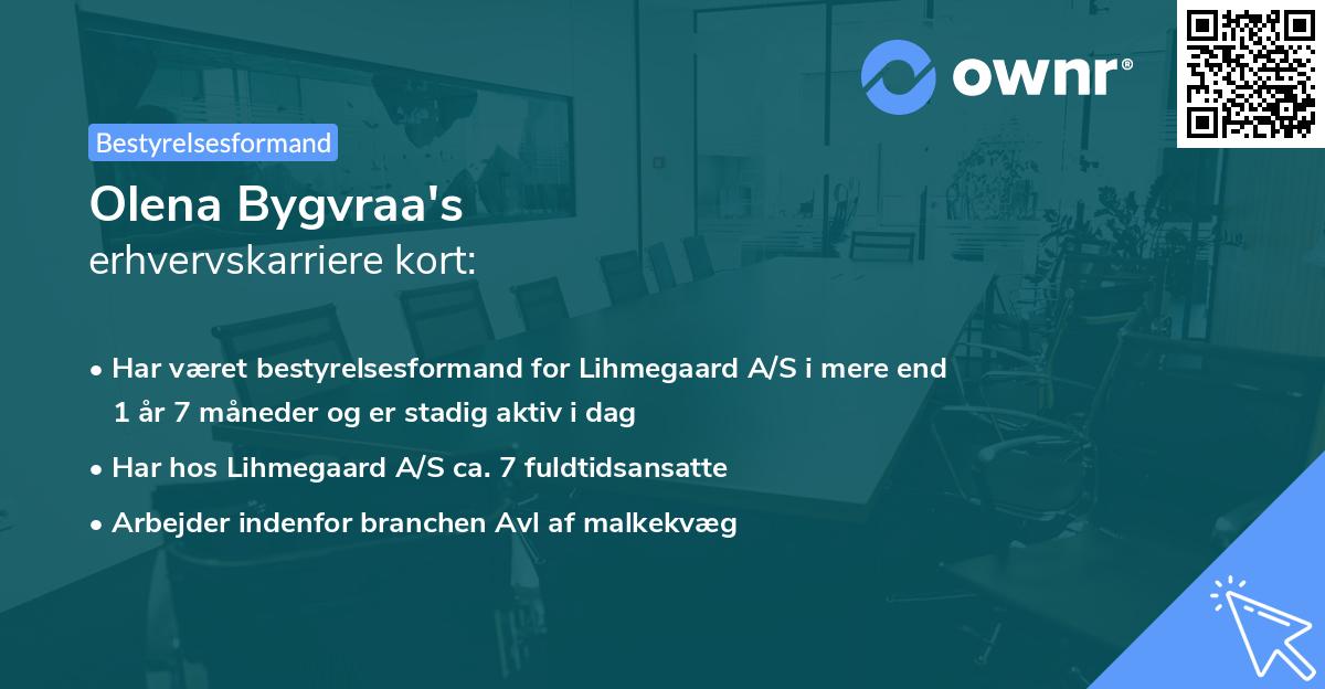 Olena Bygvraa's erhvervskarriere kort