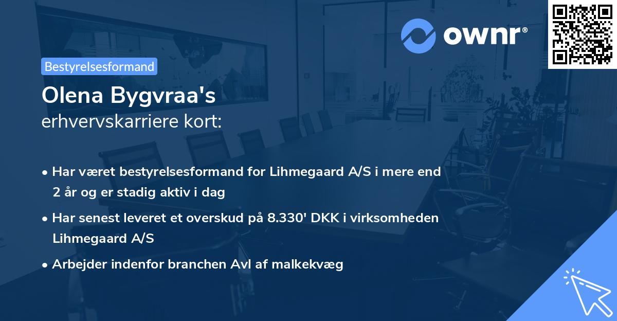 Olena Bygvraa's erhvervskarriere kort