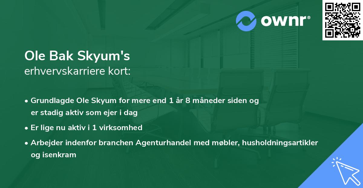 Ole Bak Skyum's erhvervskarriere kort