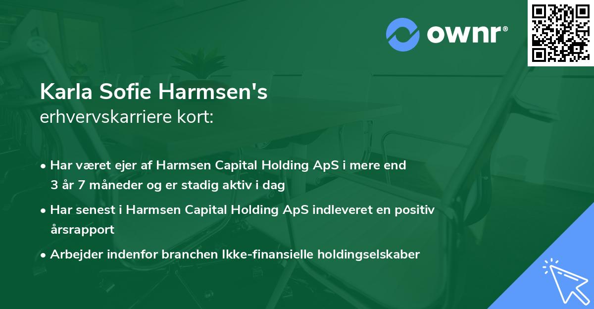 Karla Sofie Harmsen's erhvervskarriere kort