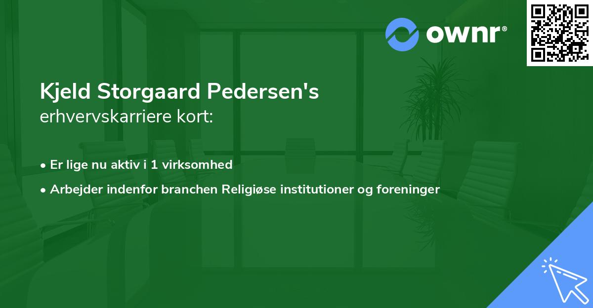 Kjeld Storgaard Pedersen's erhvervskarriere kort