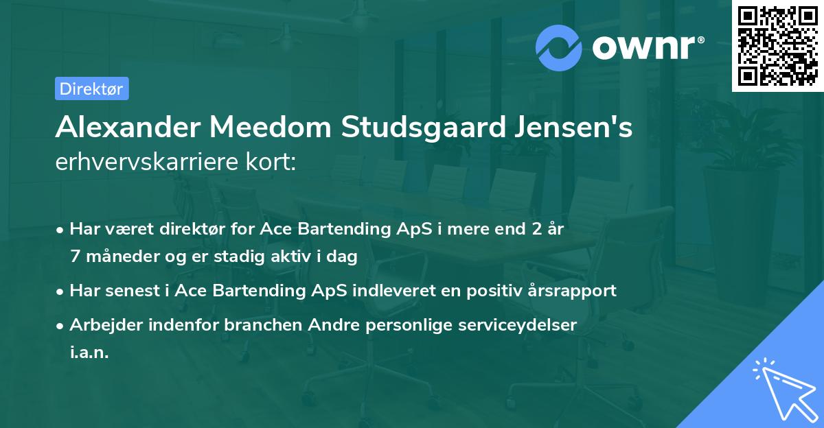 Alexander Meedom Studsgaard Jensen's erhvervskarriere kort
