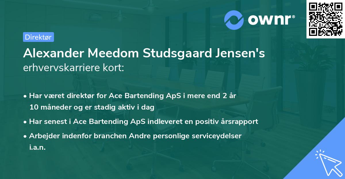 Alexander Meedom Studsgaard Jensen's erhvervskarriere kort