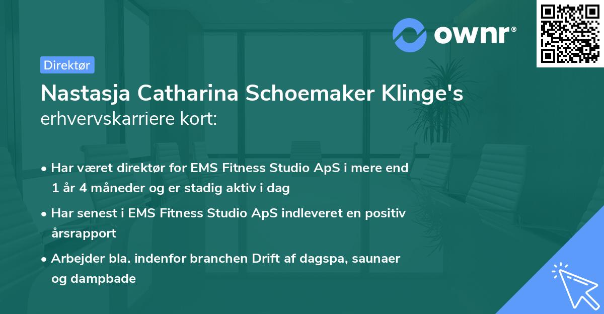 Nastasja Catharina Schoemaker Klinge's erhvervskarriere kort