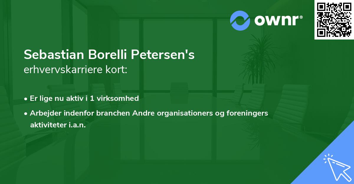 Sebastian Borelli Petersen's erhvervskarriere kort