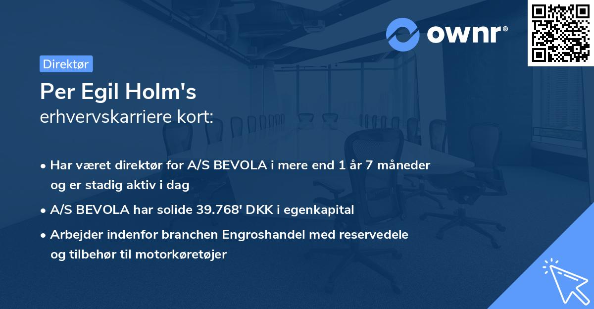 Per Egil Holm's erhvervskarriere kort