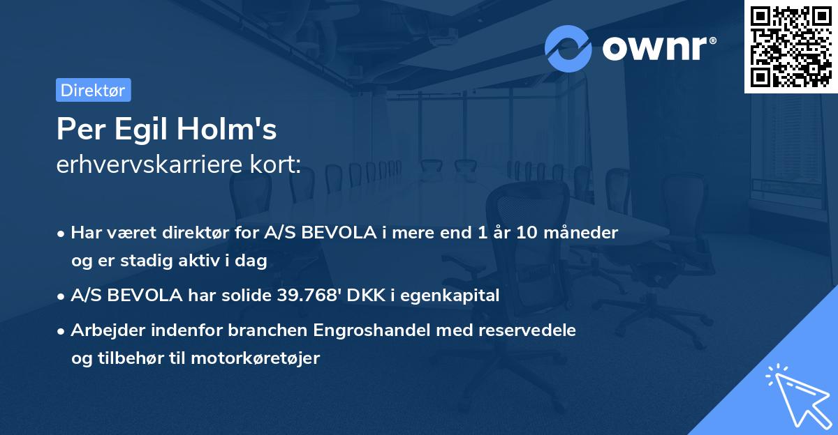 Per Egil Holm's erhvervskarriere kort