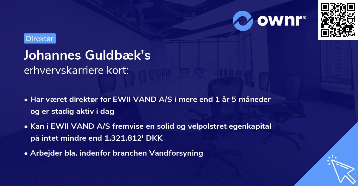 Johannes Guldbæk's erhvervskarriere kort