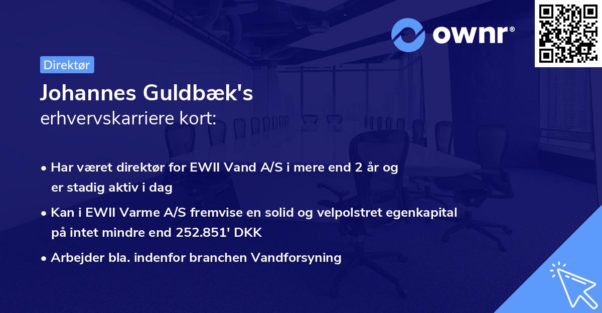 Johannes Guldbæk's erhvervskarriere kort
