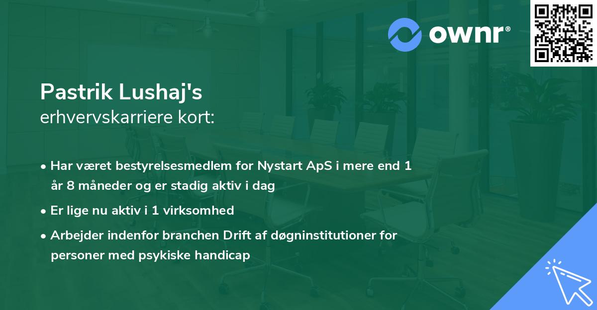 Pastrik Lushaj's erhvervskarriere kort