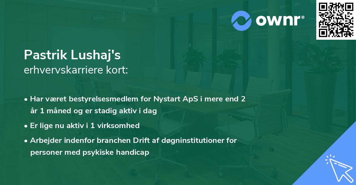 Pastrik Lushaj's erhvervskarriere kort