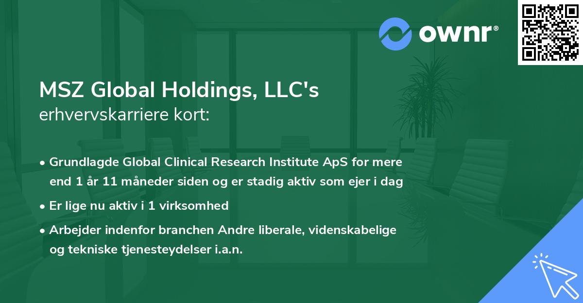 MSZ Global Holdings, LLC's erhvervskarriere kort