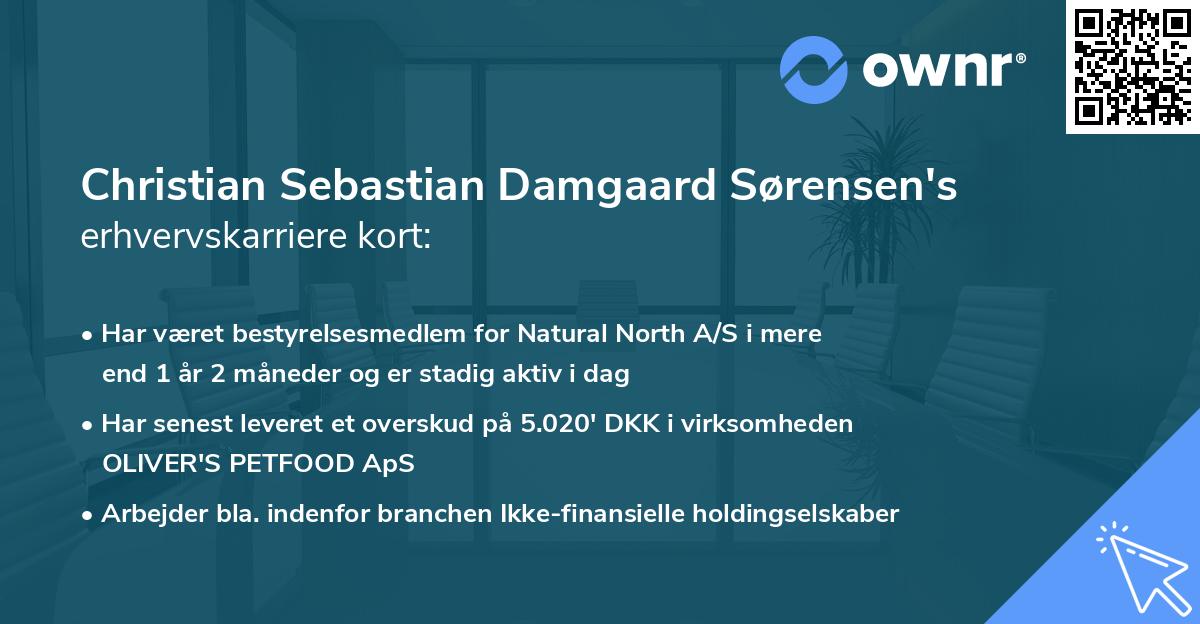 Christian Sebastian Damgaard Sørensen's erhvervskarriere kort