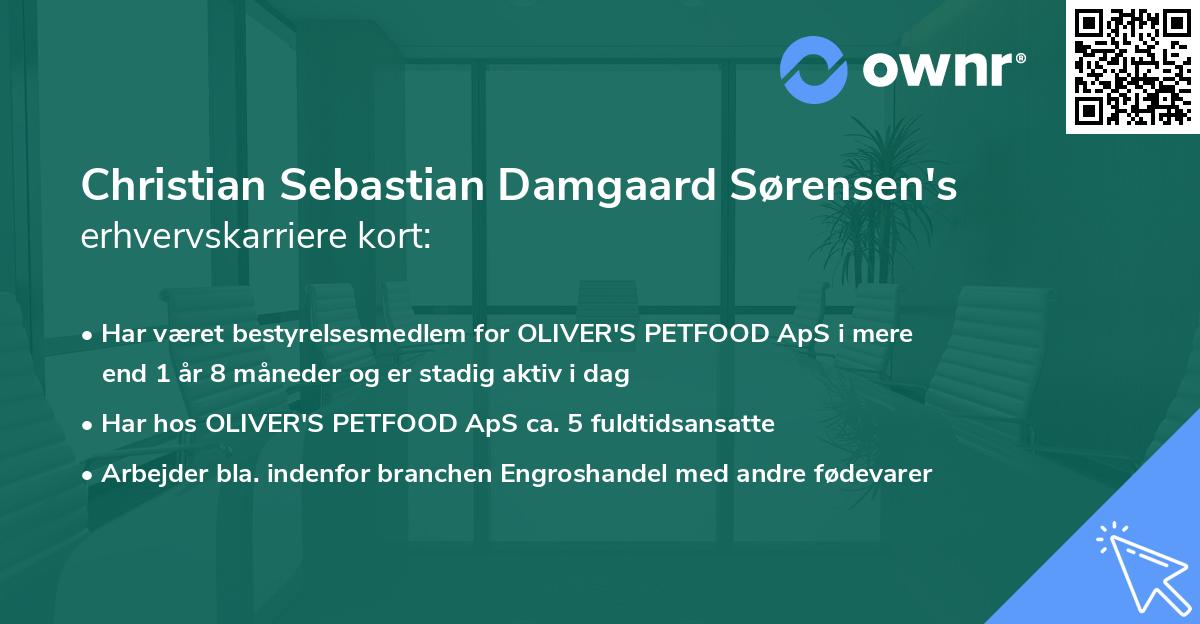 Christian Sebastian Damgaard Sørensen's erhvervskarriere kort