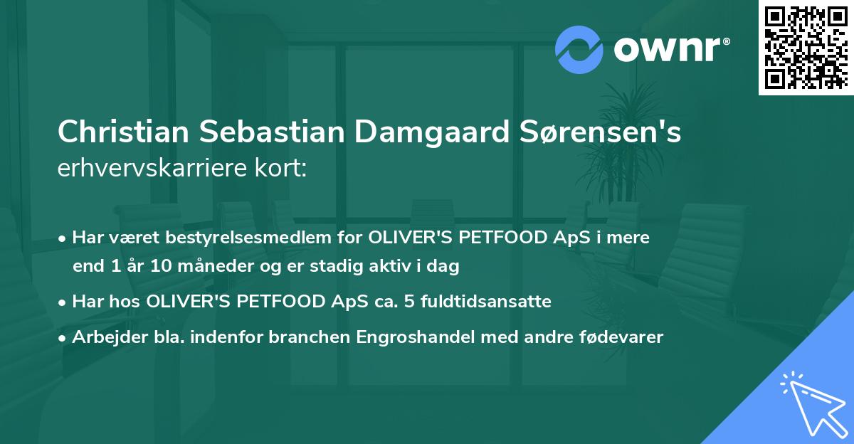 Christian Sebastian Damgaard Sørensen's erhvervskarriere kort