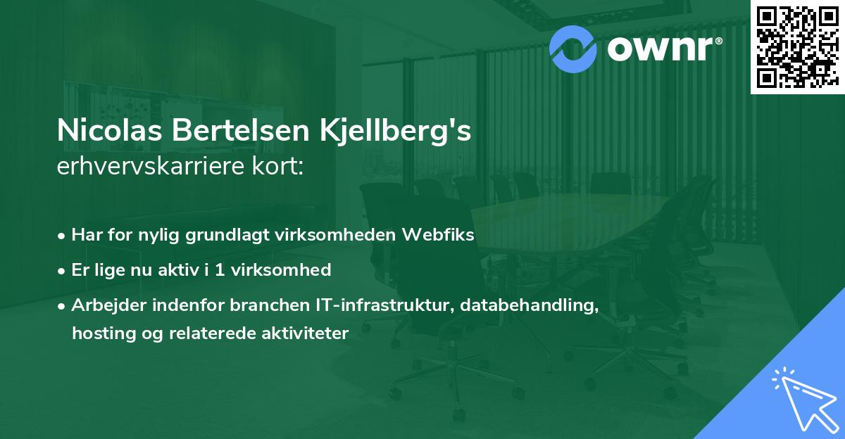Nicolas Bertelsen Kjellberg's erhvervskarriere kort