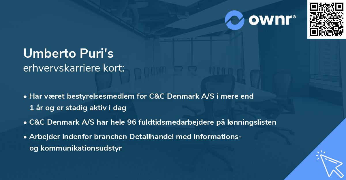 Umberto Puri's erhvervskarriere kort