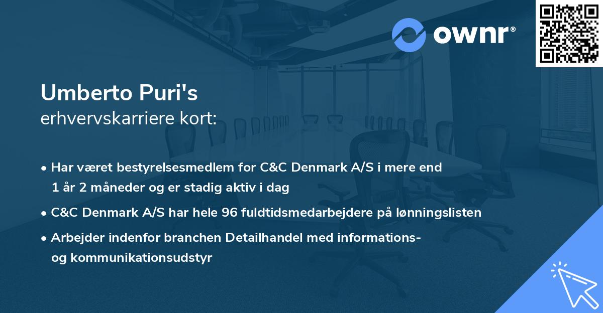 Umberto Puri's erhvervskarriere kort