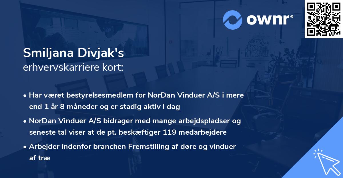 Smiljana Divjak's erhvervskarriere kort