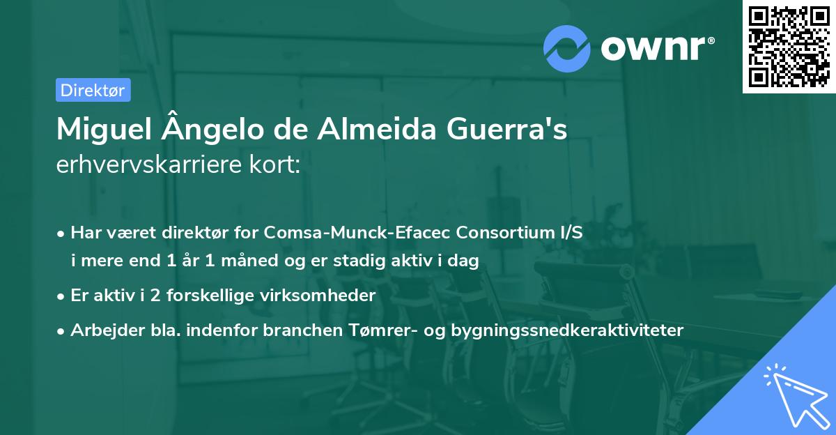 Miguel Ângelo de Almeida Guerra's erhvervskarriere kort