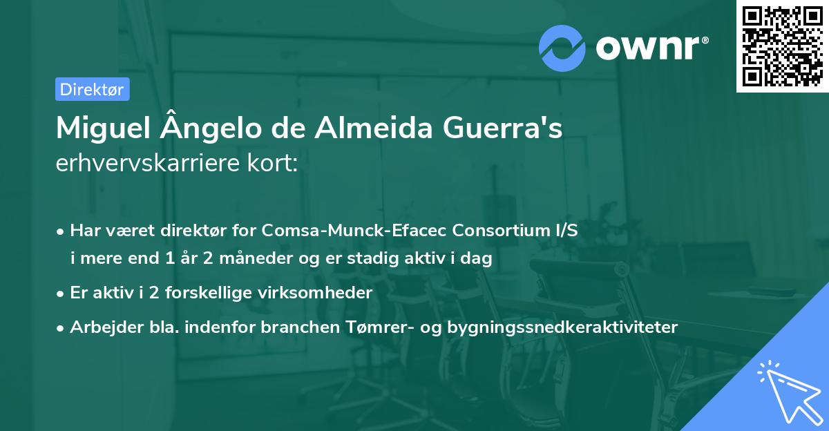Miguel Ângelo de Almeida Guerra's erhvervskarriere kort