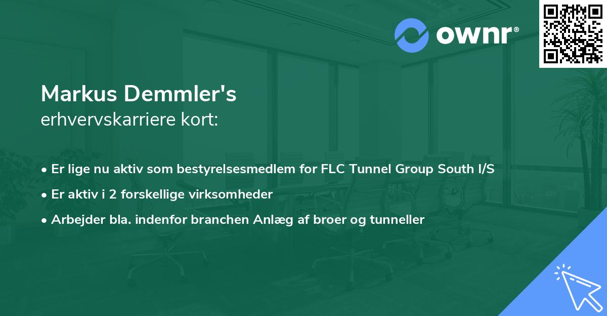 Markus Demmler's erhvervskarriere kort