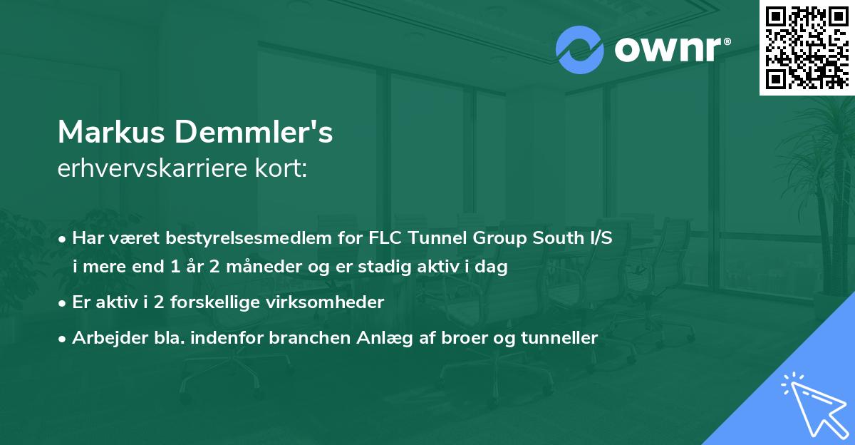 Markus Demmler's erhvervskarriere kort