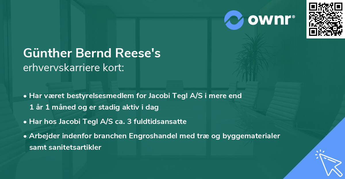 Günther Bernd Reese's erhvervskarriere kort