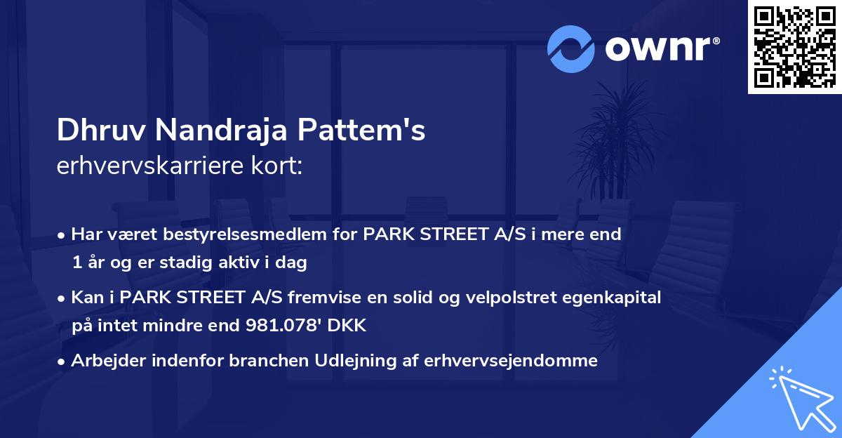 Dhruv Nandraja Pattem's erhvervskarriere kort