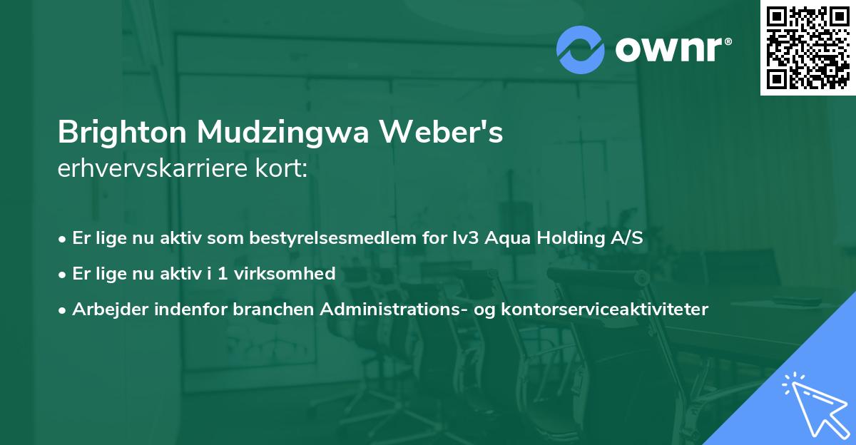 Brighton Mudzingwa Weber's erhvervskarriere kort
