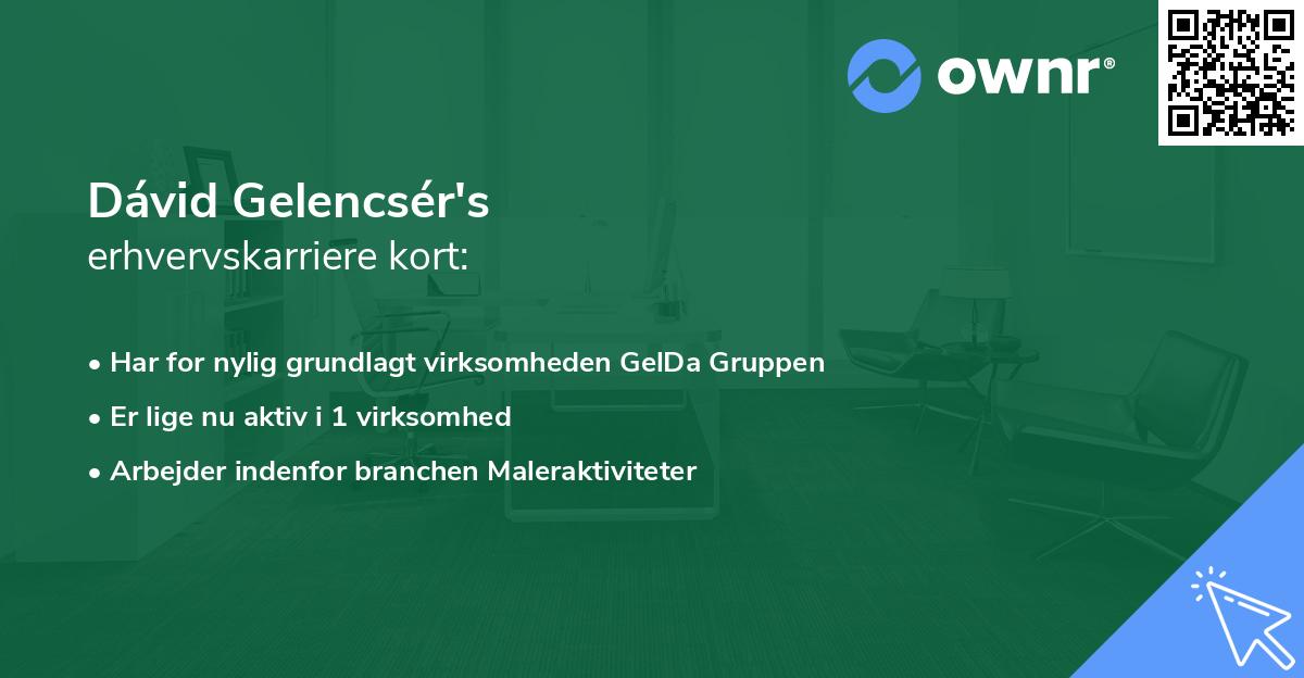 Dávid Gelencsér's erhvervskarriere kort